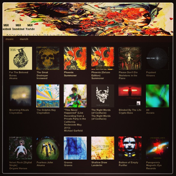 The 2013 Magnetic Eye catalog wall — Popdust by Viruses among the label's first transmissions